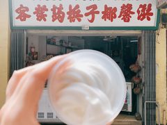 -洪馨椰子