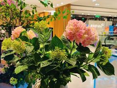 -一坐一忘云南菜(北京skp店)