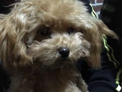 -赢吧Bliss音乐酒吧