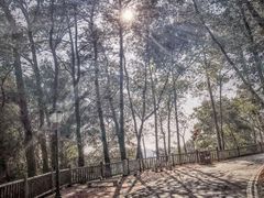 -三门江国家森林公园