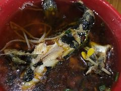 -金海椒罐罐鲢鱼(东方桂苑店)