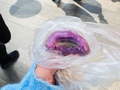 -沈大成(城隍庙店)