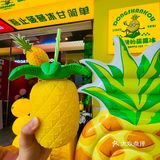 拿着只巨无霸菠萝🍍走在风湿地❗️