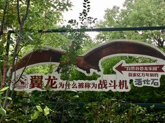 -自然谷恐龙园