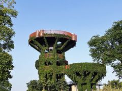 -芒洲湿地公园