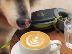 -via coffee(万象城店)