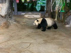 -海南热带野生动植物园