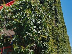 -华声天桥民俗文化园