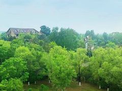 -黑龙江扎龙生态旅游区