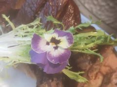 樽宴极品烤鸭-樽宴酒楼·地道川菜·品质宴请