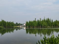 -白鹭湾湿地公园