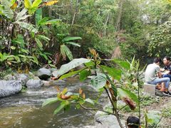 -桂山风景旅游区