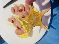 -千岛蚝高压锅生蚝·人参火锅(白云万达店)