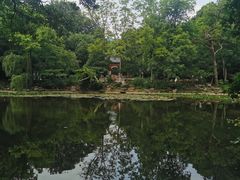 -灵谷景区