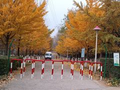 -长白岛森林公园