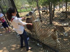 -大连森林动物园