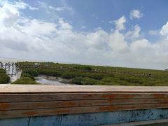 -北海金海湾红树林生态旅游区