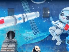 -中国大熊猫保护研究中心雅安碧峰峡基地