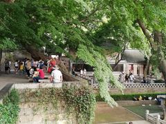 -青岛崂山太清宫