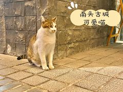 -NG PASTA吴居·中华意面(南头古城店)