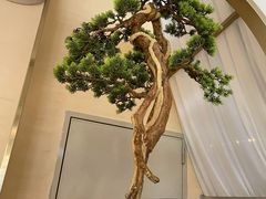 -马家斑.鲜鱼火锅(松湖万科店)