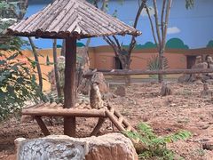 -石家庄市动物园