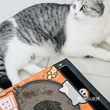 懒人福音｜点外卖跟猫猫一起探鱼🐟！