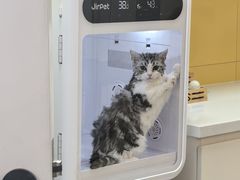 -鹏欣水游城