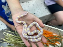 -Moni星球萌宠·小马宝莉·灵蛇·高端高阶全萌宠互动体验俱乐部(红豆国际广场店)