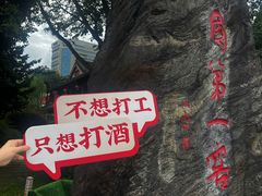 -泸州老窖景区