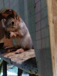 -酷嗒动物文化乐园(cutezoo西溪乐天城店)