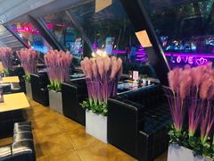 -枫花园汽车电影院(朝阳公园店)