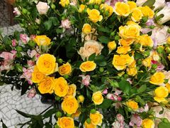 -BOBLOOM花店(宝龙旭辉广场店)
