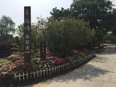 -秀丽东方