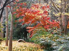 -木塔寺遗址生态公园