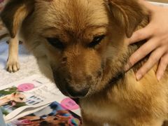 -远洋未来广场(育慧北路店)