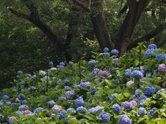 -沈阳植物园