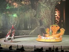 -广州长隆国际大马戏