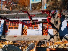 -沉浸北京·团建旅行·密室剧本杀·年会会议轰趴拓展