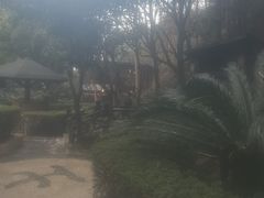 -明月山天沐温泉度假村