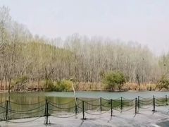 -淇河国家湿地公园