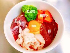 -宠物之家Pets Home 宠物寄养酒店