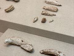 -安塔利亚博物馆