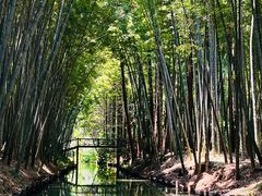 -同里国家湿地公园
