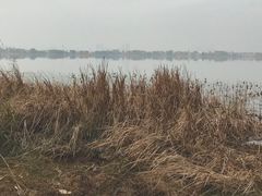 -东湖磨山景区