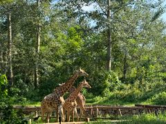 -北京野生动物园
