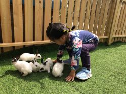 -萌宠亲子动物乐园(槐房万达店)