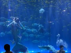 -华夏文旅海洋公园