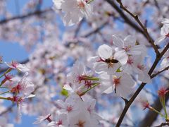 -龙美术馆(西岸馆)