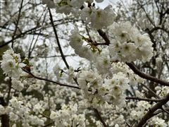 -贵阳市花溪国家城市湿地公园